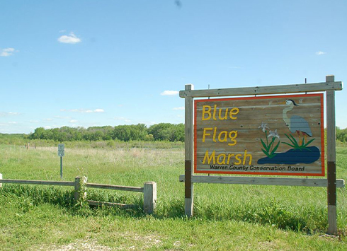 North River Greenbelt: Blue Flag Marsh