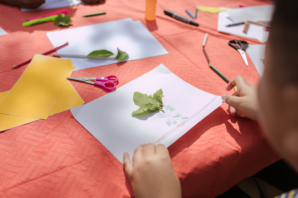 2022 summer nature day camps in warren county