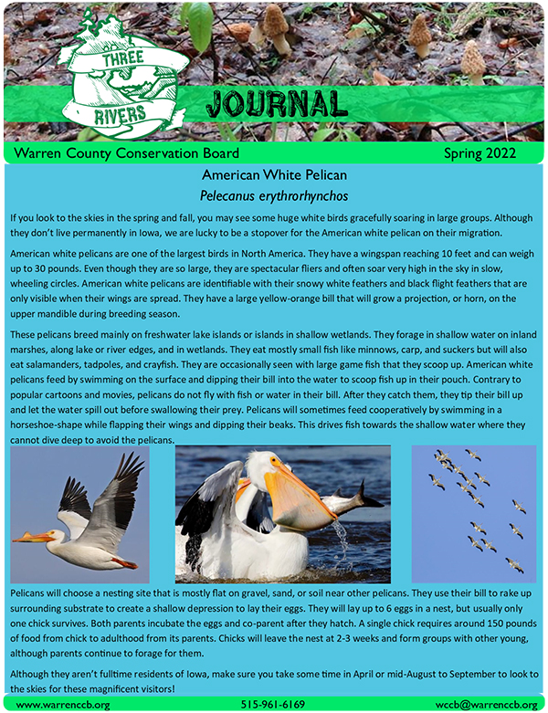 Warren County Conservation Newsletter