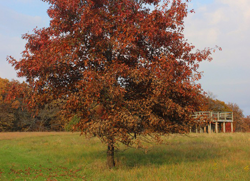 otter creek park