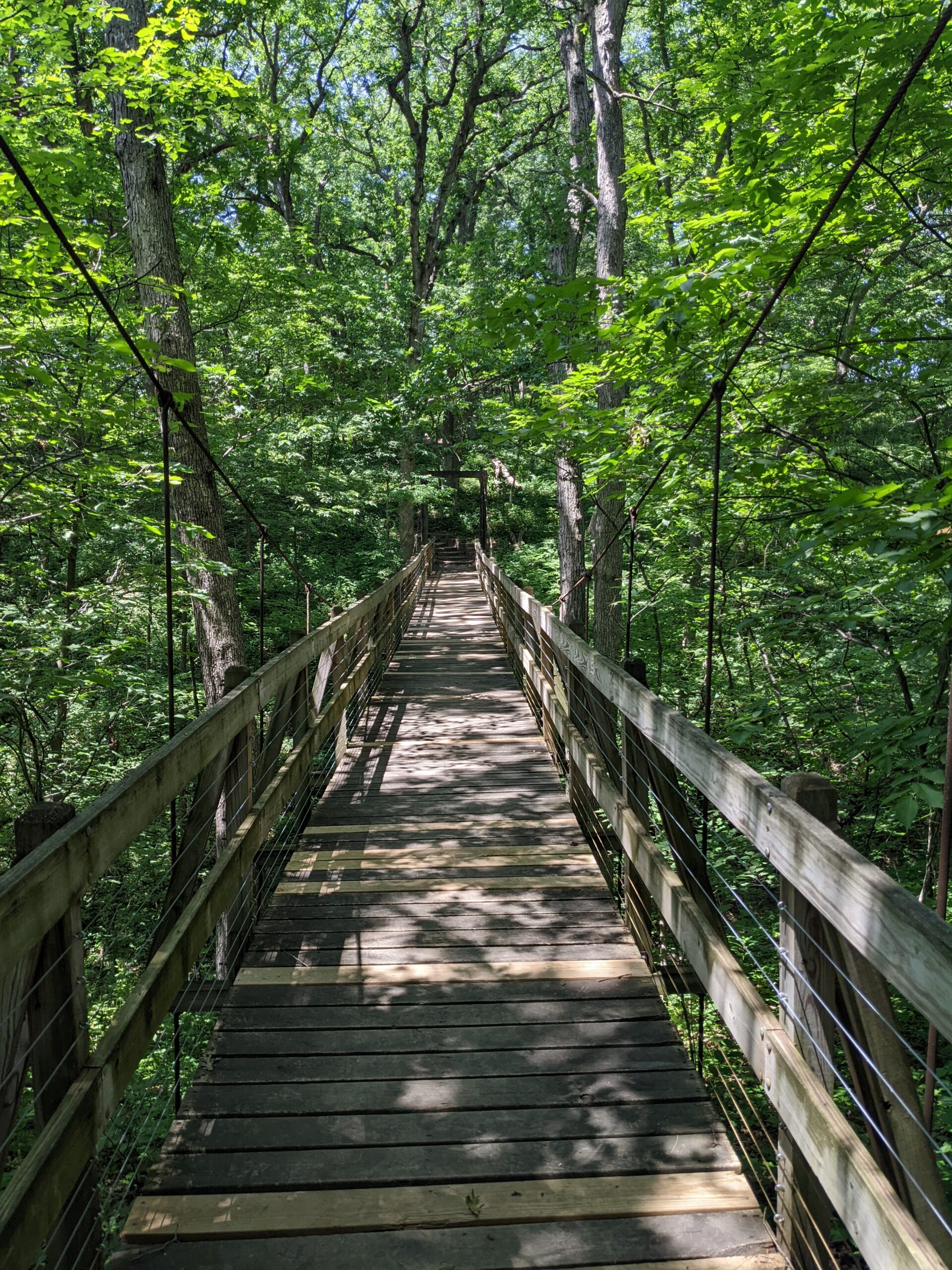 Bridge